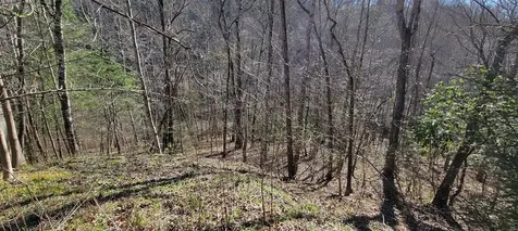 130 Richter Drive Topton NC 28781