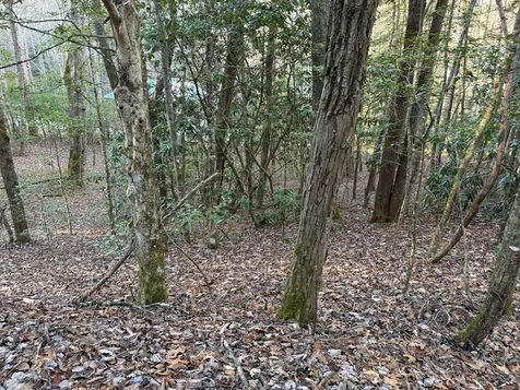 00 Old Faber Road Topton NC 28781