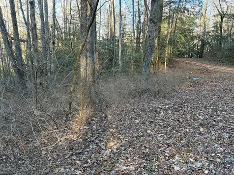00 Old Faber Road Topton NC 28781