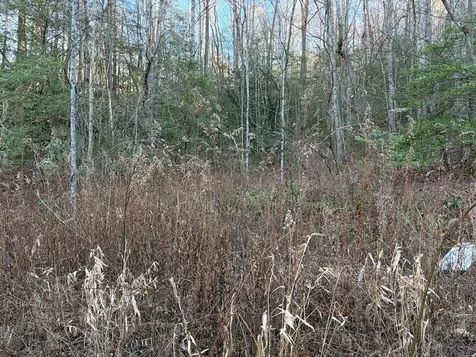 00 Old Faber Road Topton NC 28781