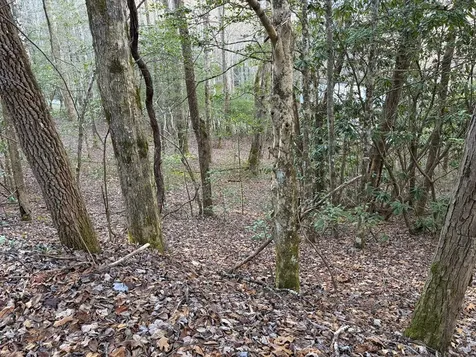 00 Old Faber Road Topton NC 28781