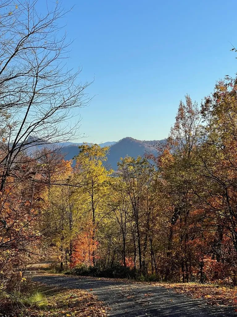Lot 58m Ridges Hayesville NC 28904