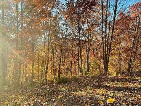 Lot 58m Ridges Hayesville NC 28904