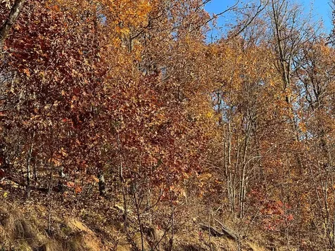 Lot 58m Ridges Hayesville NC 28904