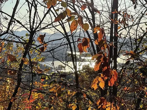 Lot 58m Ridges Hayesville NC 28904