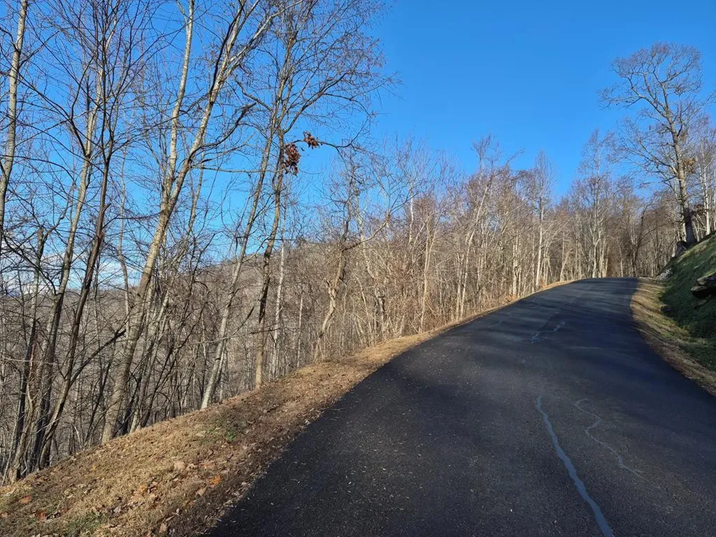 Lot 62 Dan Knob Hayesville NC 28904