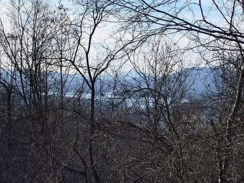 Lot 62 Dan Knob Hayesville NC 28904