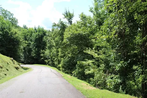 Lot 62 Dan Knob Hayesville NC 28904