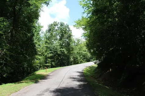 Lot 62 Dan Knob Hayesville NC 28904