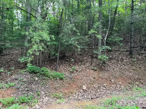 Tbd Atoah Loop Murphy NC 28906