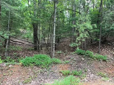Tbd Atoah Loop Murphy NC 28906