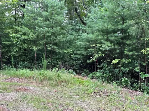 Tbd Atoah Loop Murphy NC 28906