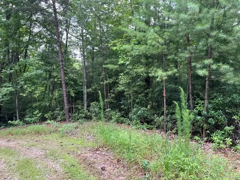 Tbd Atoah Loop Murphy NC 28906