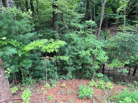 Tbd Atoah Loop Murphy NC 28906