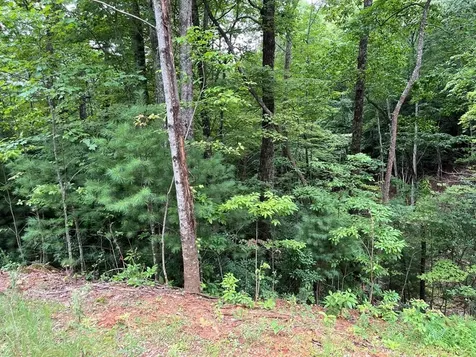 Tbd Atoah Loop Murphy NC 28906