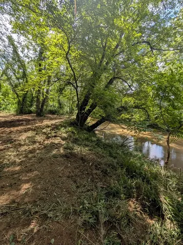 1.0 Ac Old Hwy 64 W Warne NC 28909