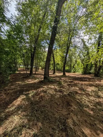 1.0 Ac Old Hwy 64 W Warne NC 28909