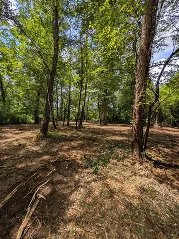 1.0 Ac Old Hwy 64 W Warne NC 28909