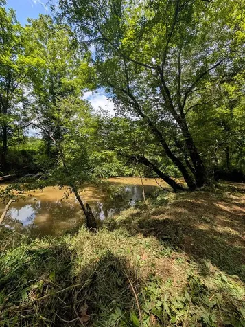 1.0 Ac Old Hwy 64 W Warne NC 28909