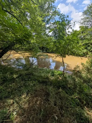 1.0 Ac Old Hwy 64 W Warne NC 28909