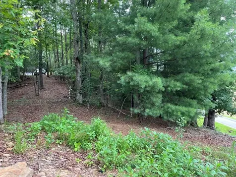 71 Martin Hills Drive Murphy NC 28906