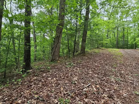 6 Heather Lane Murphy NC 28906
