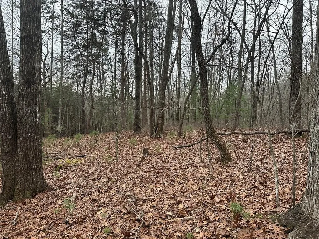 00 Marrestop Murphy NC 28906