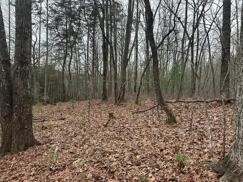 00 Marrestop Murphy NC 28906