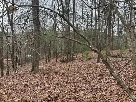 00 Marrestop Murphy NC 28906