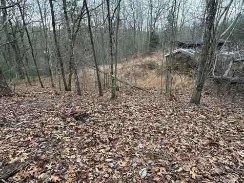 00 Marrestop Murphy NC 28906