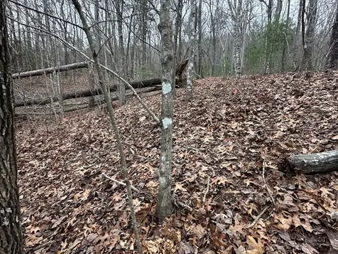 00 Marrestop Murphy NC 28906