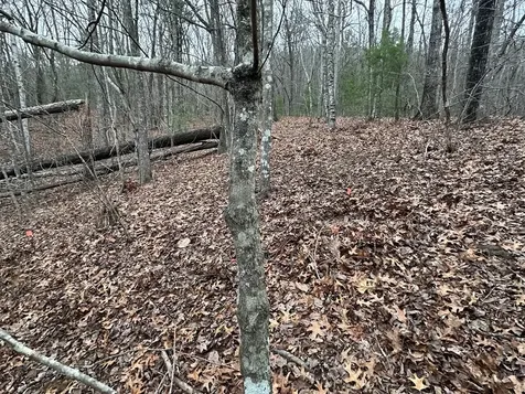 00 Marrestop Murphy NC 28906