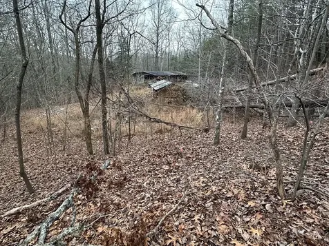 00 Marrestop Murphy NC 28906