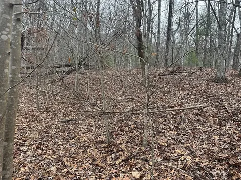 00 Marrestop Murphy NC 28906