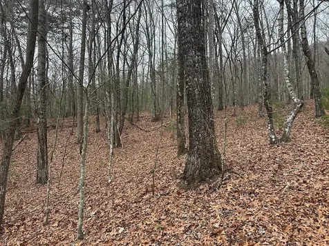 00 Marrestop Murphy NC 28906