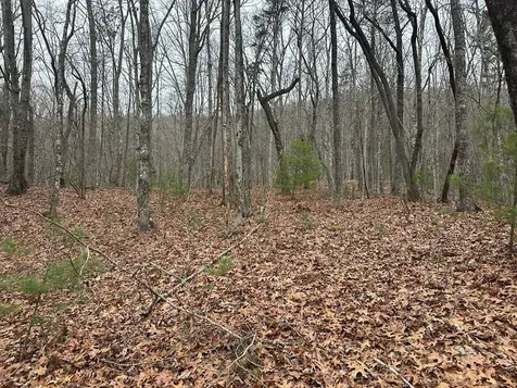 00 Marrestop Murphy NC 28906