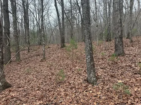 00 Marrestop Murphy NC 28906