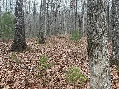 00 Marrestop Murphy NC 28906