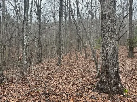 00 Marrestop Murphy NC 28906
