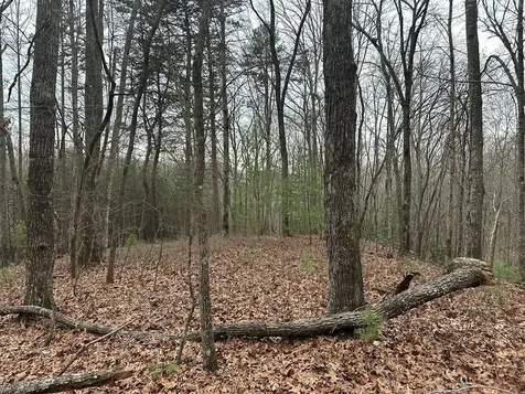 00 Marrestop Murphy NC 28906