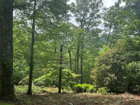 Lot 40 Burger Road Murphy NC 28906