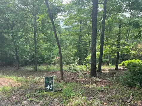 Lot 40 Burger Road Murphy NC 28906