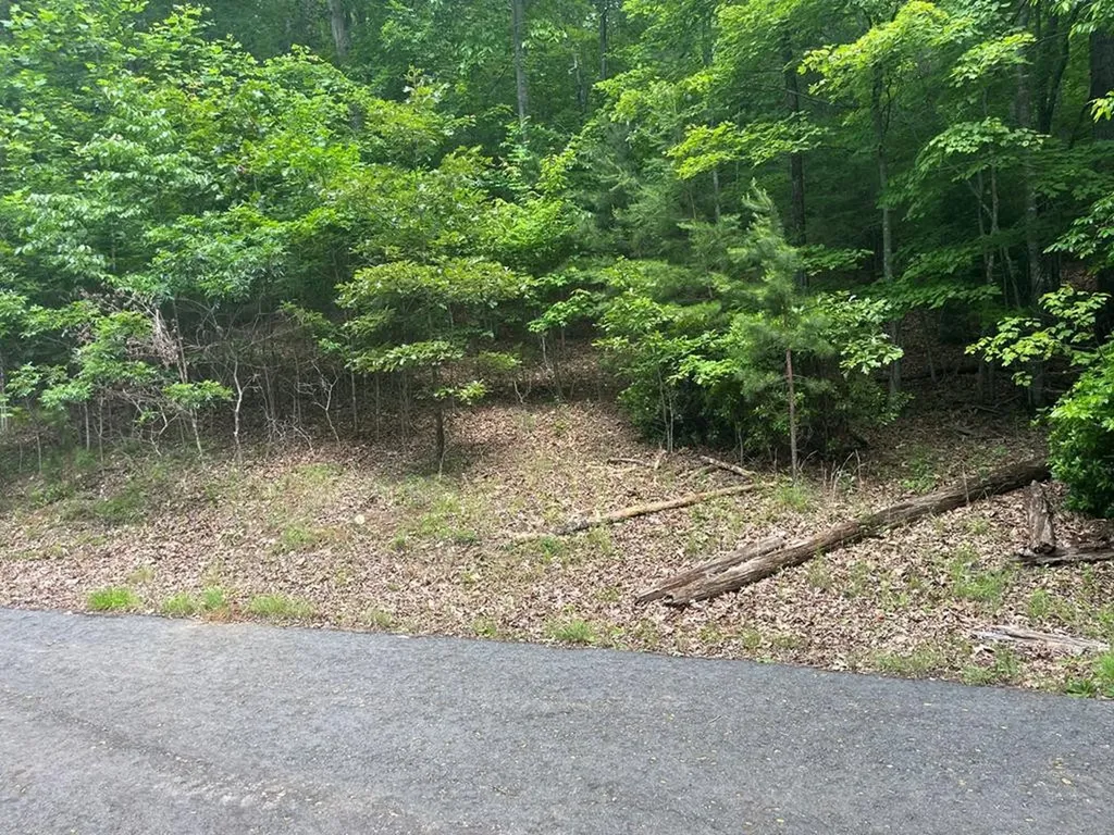 Lot 64 Cirrus Drive Murphy NC 28906