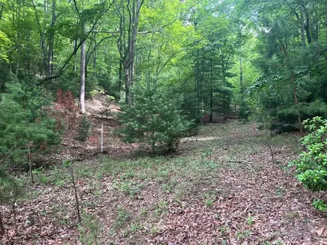 Lot 64 Cirrus Drive Murphy NC 28906