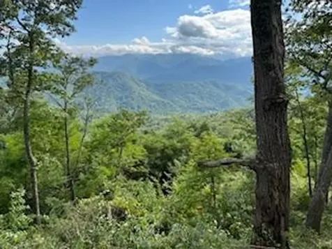 Lot 30 Hickory Cove Road Bryson City NC 28713