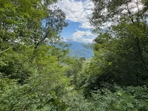 Lot 30 Hickory Cove Road Bryson City NC 28713
