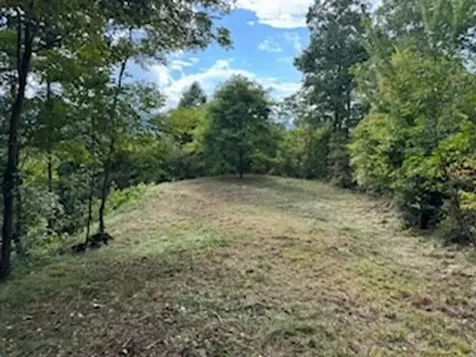 Lot 30 Hickory Cove Road Bryson City NC 28713