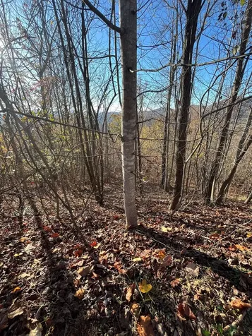 41 42 43 Ridges Hayesville NC 28904