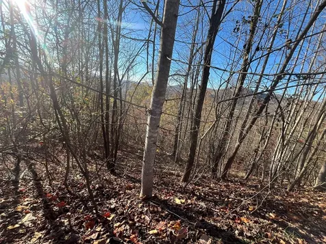 41 42 43 Ridges Hayesville NC 28904