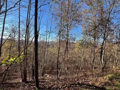 41 42 43 Ridges Hayesville NC 28904